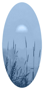 Harvest Sunrise Blue